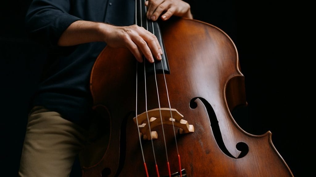 奥深いジャズ・ウッドベースの世界